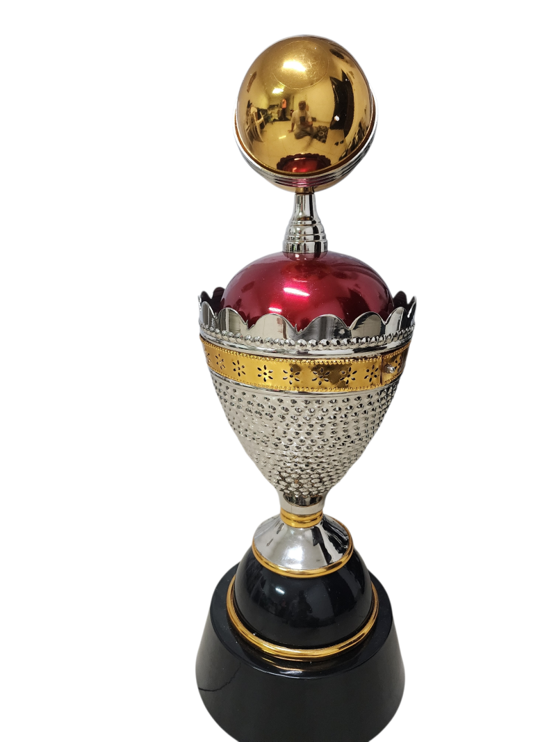 gold silver cricket cup