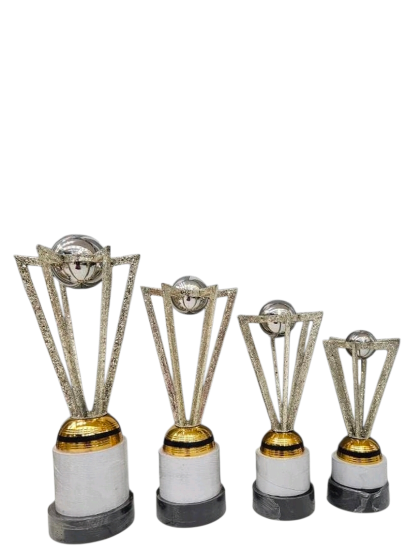 fancy cricket trophy